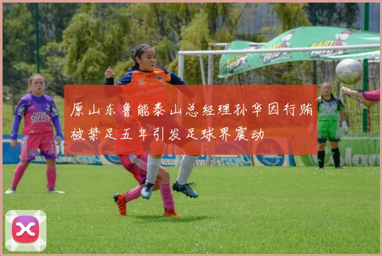 原山东鲁能泰山总经理孙华因行贿被禁足五年引发足球界震动